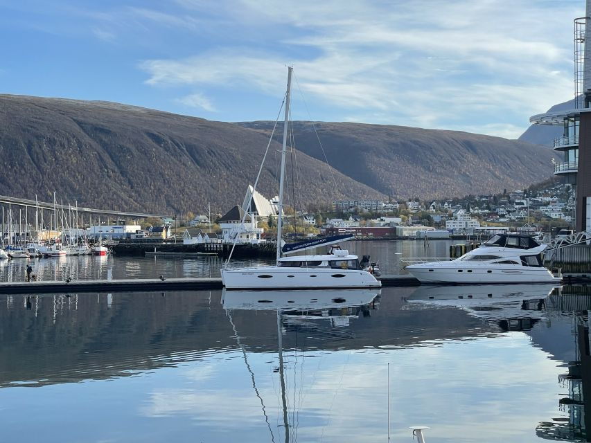 Tromso: Northern Lights Catamaran Cruise W/ Snacks & Drinks