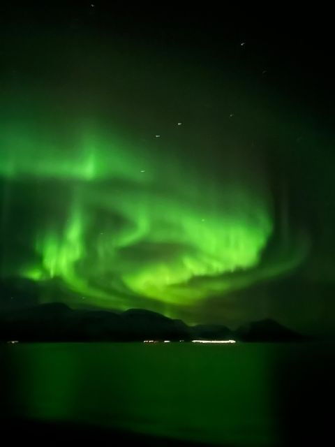 Tromsø: Northern Lights Horse Ride Photo Trip - Good To Know