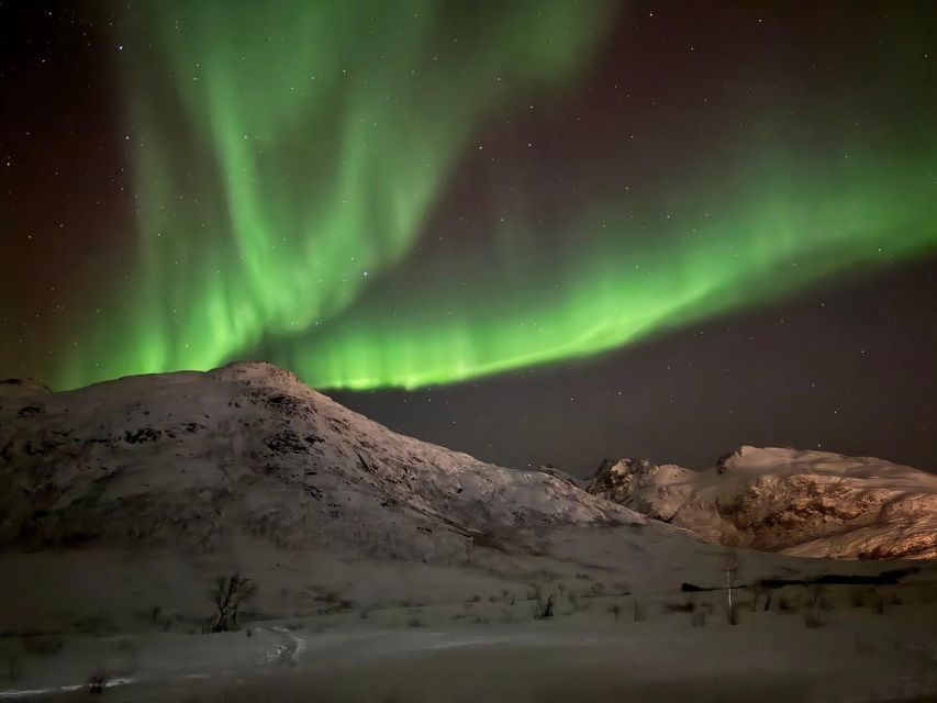 Tromsø: Northern Lights Tour With Hot Food and Drinks - Good To Know