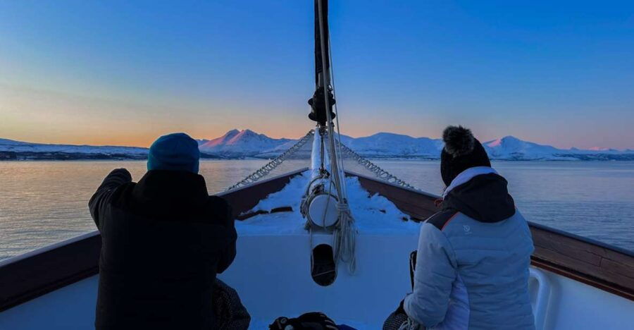 Tromsø: Polar Fjord Cruise on a Luxury Yacht With Lunch - Good To Know