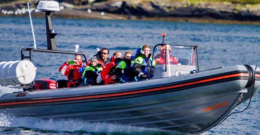Tromso: Private RIB Speedboat Tour of Hella