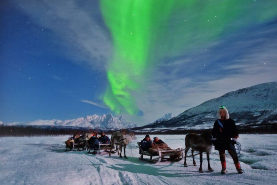 Tromso: Reindeer Sledding With Chance to See Northern Lights