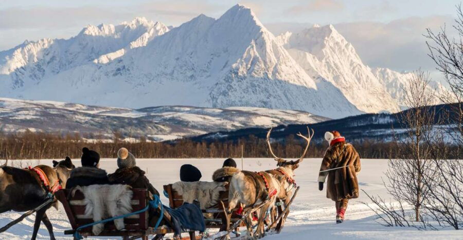 Tromsø: Sámi Reindeer Sledding and Sami Cultural Tour - Good To Know