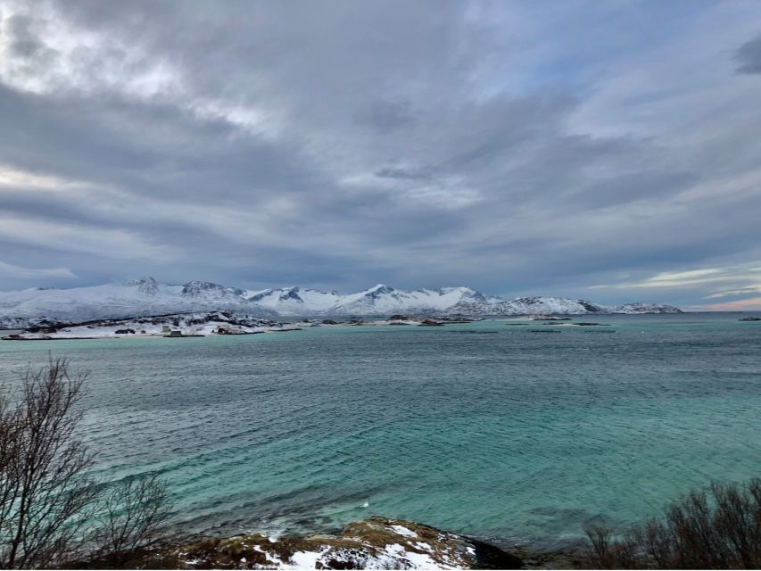 Tromsø. Tour Around Fjords & Islands, Including Sommarøy.