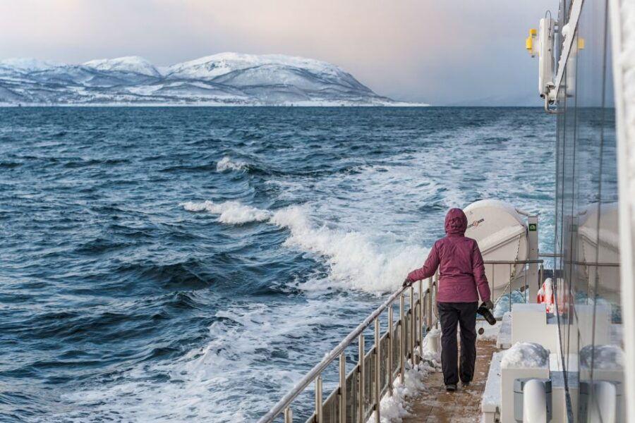 Tromsø: Whale Watching Tour by Hybrid-Electric Catamaran - Booking Information
