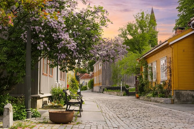 Trondheim's Eternal Love Trail Private Walking Tour - Good To Know