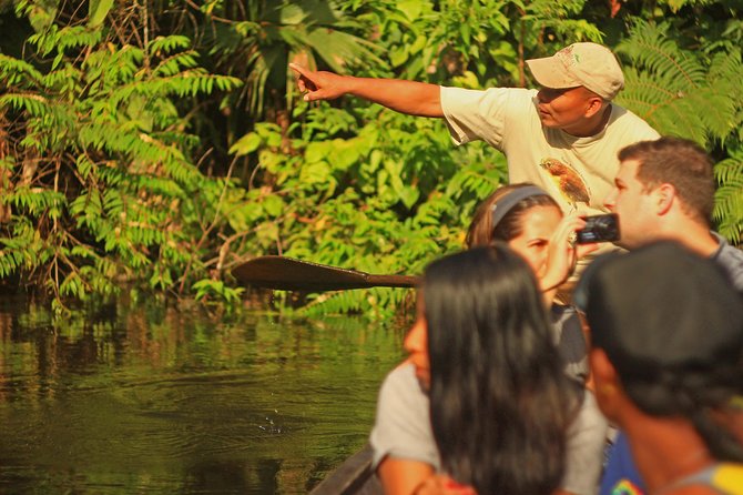 Tropical Escape: 3-Day Amazon Rainforest Tour From Quito to Napo