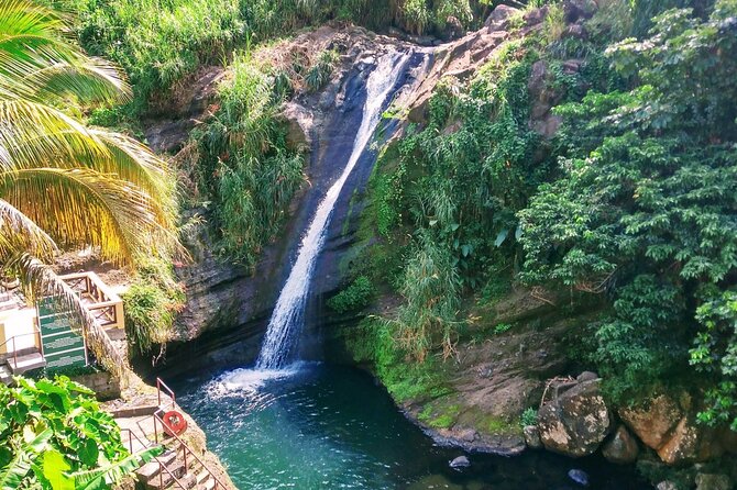 Tropically Yours” (Private Tour)