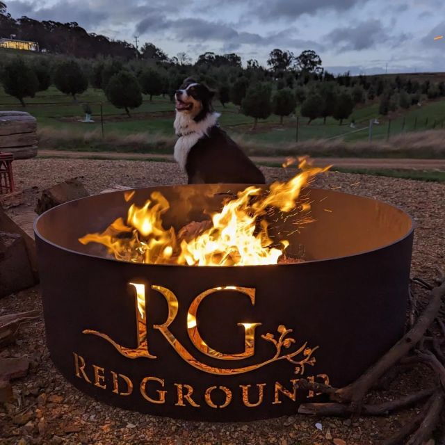 Truffle Hunt and Taste Experience in Oberon, NSW Australia - Good To Know