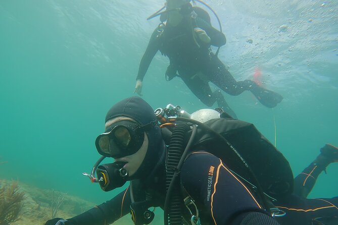 Try an Exciting SCUBA Dive on the #1 Reef in the US - Good To Know