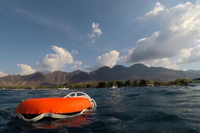 Try Freediving in Pemuteran, Aida 1 With Theory, Pool and Ocean Session 1 Day - Good To Know