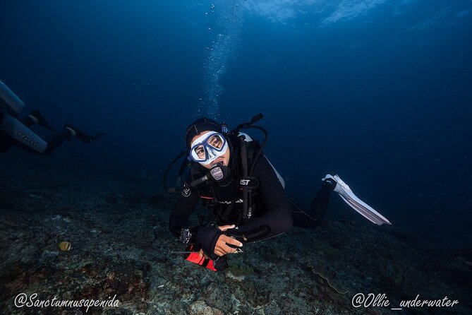 Try Scuba Diving for Beginners With Manta Rays