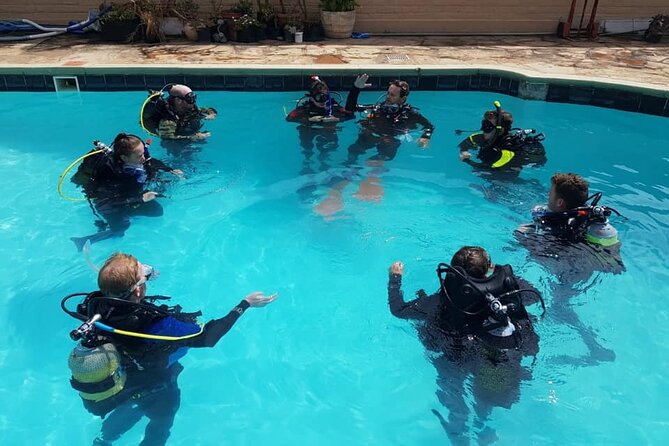 2 Best Scuba Diving Experiences In Mossel Bay