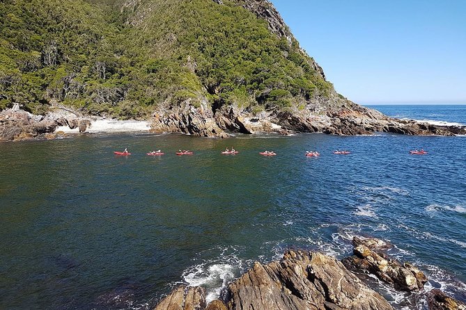2 Best Guided Tours In George