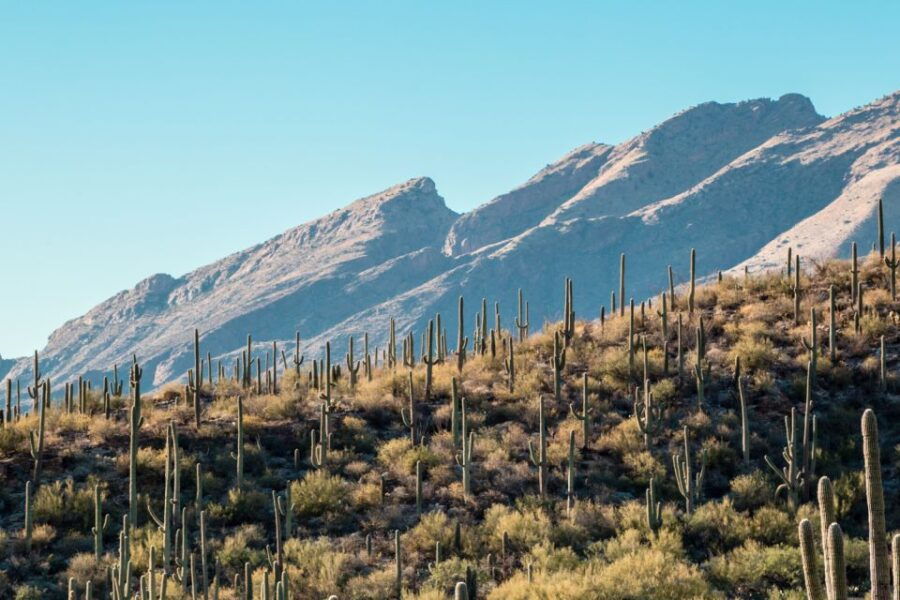Tucson: Mt Lemmon & Saguaro NP Self-Guided Bundle Tour - Good To Know