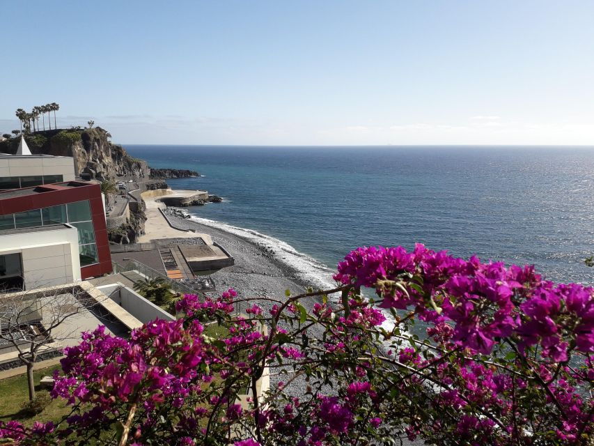 Tuk Tuk Câmara De Lobos – Madeira Island