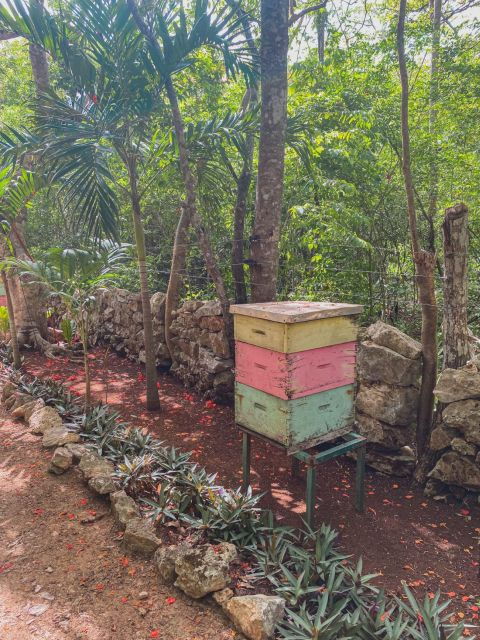 Tulum: Chichen Itza Ruins, Honey Tour With Lunch