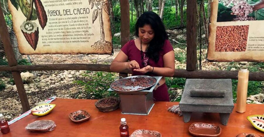 Tulum: Chocolate & Honey Sanctuary Experience With Lunch - Good To Know