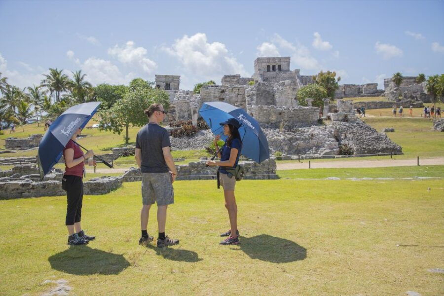 Tulum Guided Tour, Cenote, Lagoon Snorkeling and Lunch