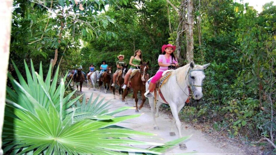Tulum: Horseback Riding in the Jungle W/ Transfers and Lunch - Good To Know