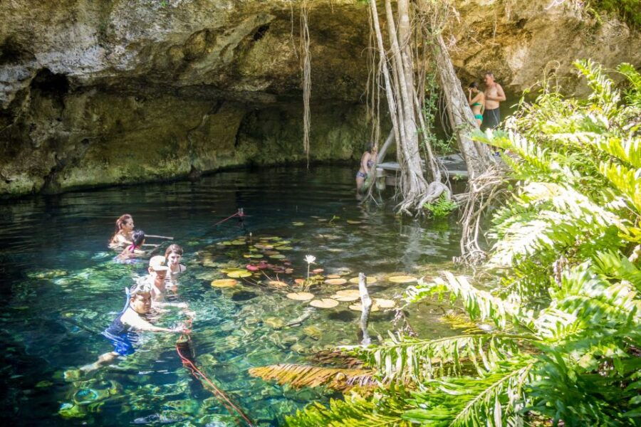 Tulum: Private Cenote Tour of Cristalino and Garden of Eden