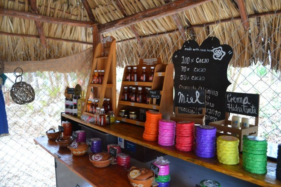 Tulum: Raw Honey & Chocolate Tour With Vegan Lunch & Cenote - Good To Know