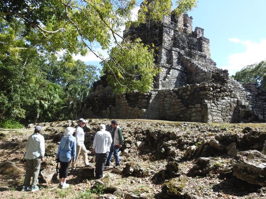 Tulum: Sian Ka'an Biosphere Reserve Guided Birdwatching Hike - Good To Know
