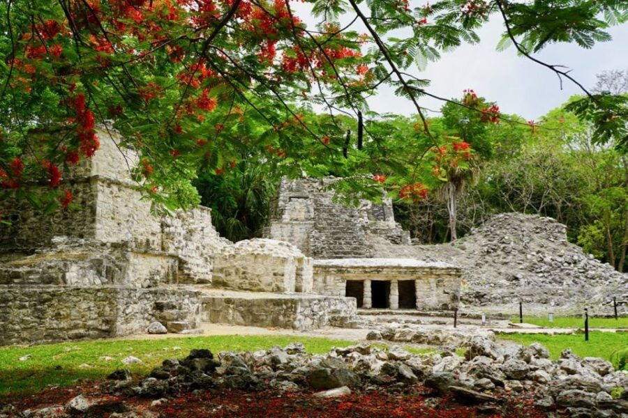 Tulum: Sian Ka'an Lagoons and Cenote Escondido Tour - Good To Know