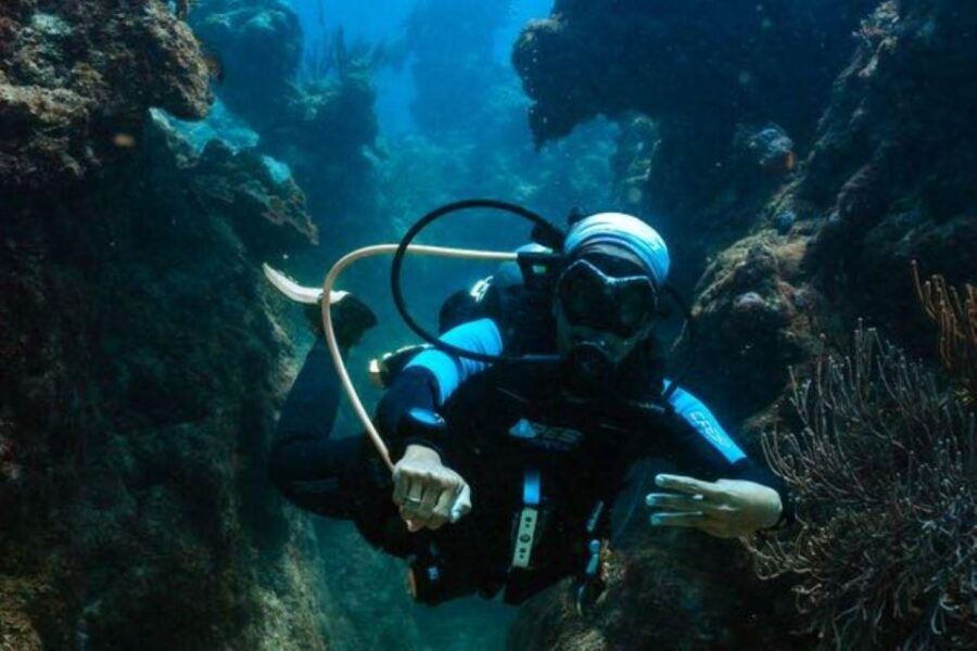 Tulum: Try Scuba Diving Adventure