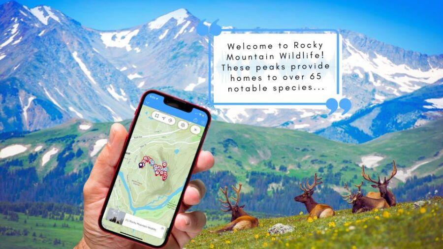 Tunnel Mountain Trail: Nature Tour With Audio Guide - Good To Know