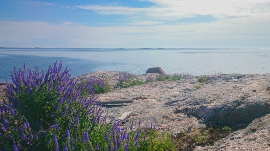 2 Best Canoe And Kayak Experiences In Turku
