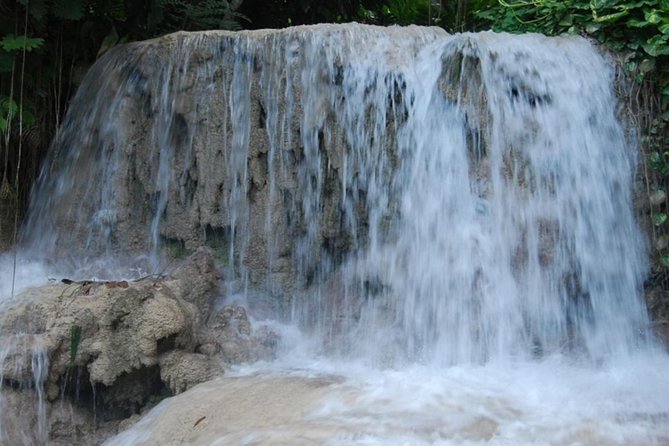 Turtle River Falls and Gardens Private Tour