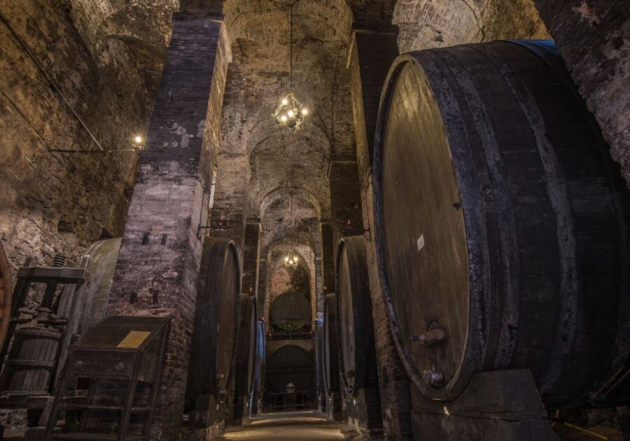 Tuscany: Self-Guided Video Tour With World's Top Experts - Good To Know