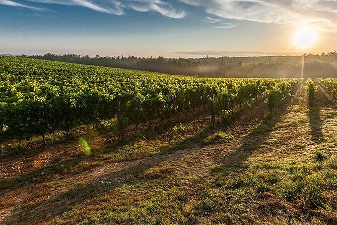 Tuscany, Siena and San Gimignano From Rome Private Day Tour - Good To Know
