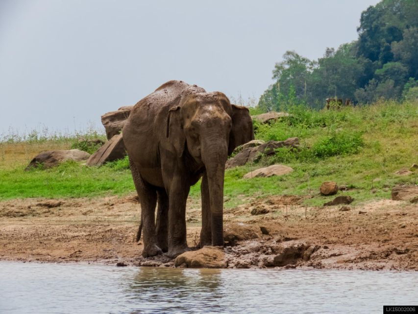 Tusker Safari at Kalawewa National Park - Good To Know