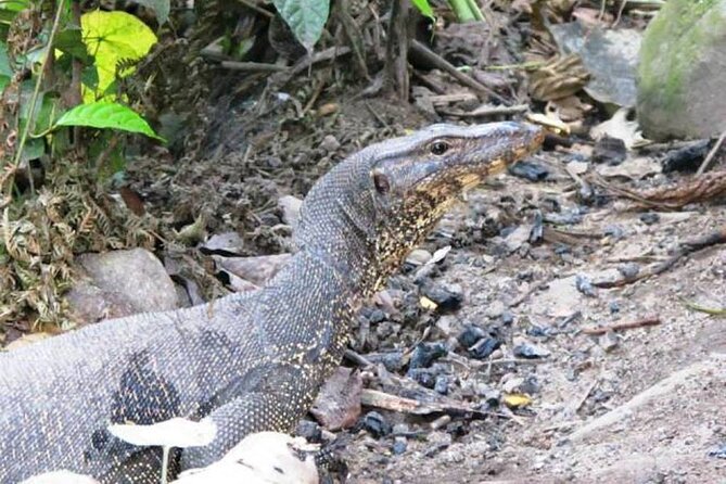 Two-Day Jungle Trekking For School, Private - Trekking Itinerary