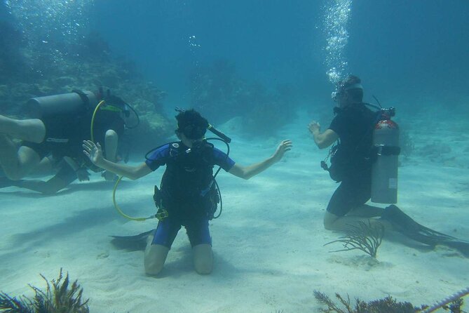 Two Tank Dive in Montego Bay With Certified PADI Instructor