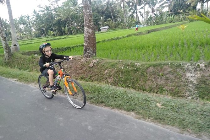 Ubud and Kintamani Day Trip With Bike Ride - Good To Know
