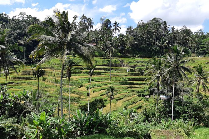 Ubud Area Full Day All Inclusive Private Tour