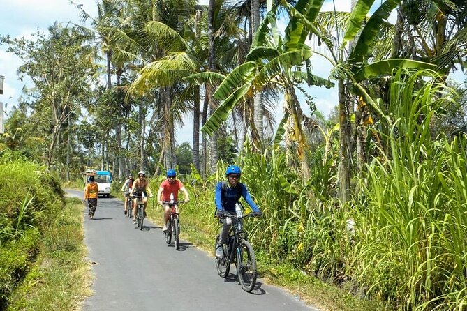 Ubud Bali Cycling Tour All Include