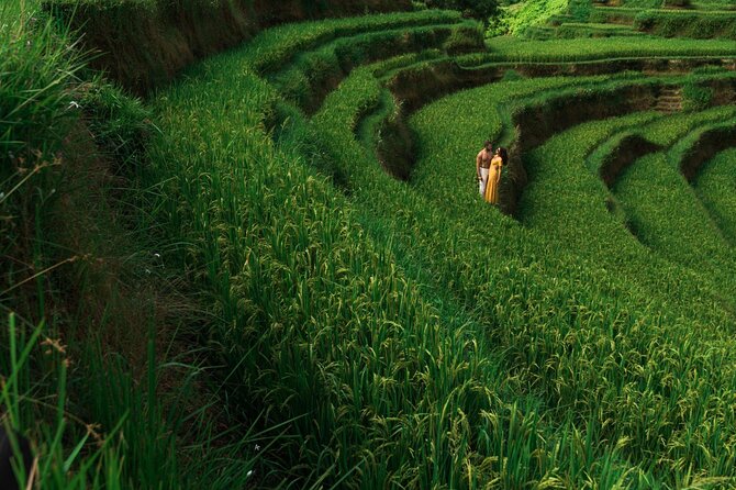 Ubud Bali Tour - Best of Ubud - All Inclusive - Good To Know