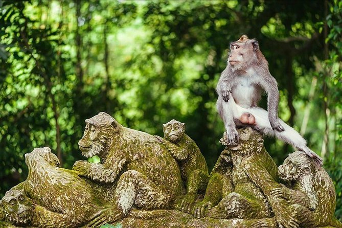 Ubud Costumize Tours - Good To Know