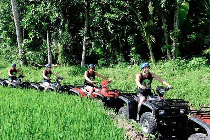 Ubud Countryside ATV Quad Bike Including Private Transfers