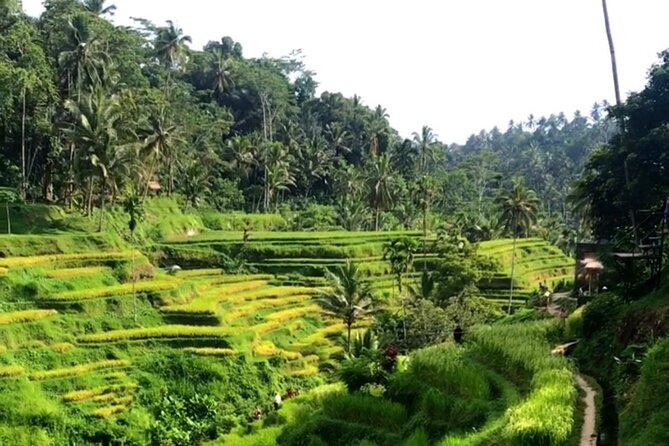 Ubud Customize Tour - Itinerary Overview