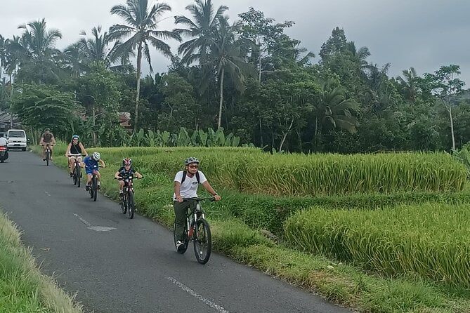 Ubud Downhill Cultural Cycling Tour With Rural and Meal