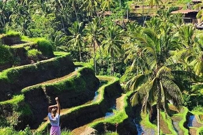 Ubud in a Day: Rice Terrace, Holy Water Temple, Waterfall, Arts