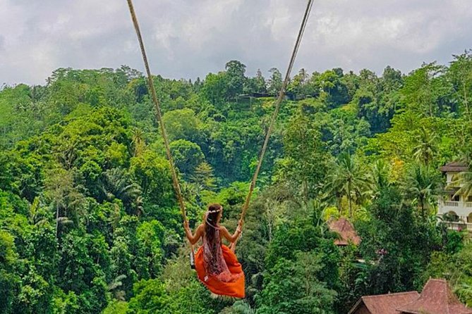Ubud Jungle Swing, Temple & Waterfall Tour (Private Half Day Tour)
