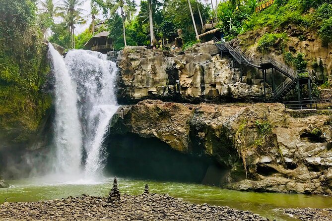 Ubud Monkey - Jungle Swing - Rice Terrace - Holy Spring Temple and Waterfall - Tour Highlights and Itinerary