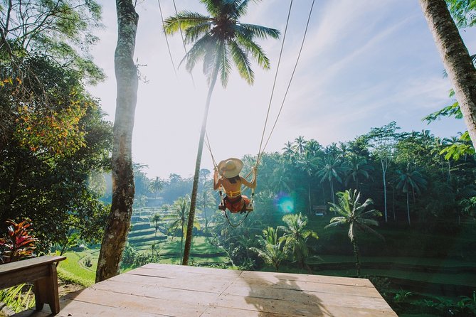 Ubud Private Highlights Tour With Lunch and In-Car Wi-Fi  - Kuta - Good To Know