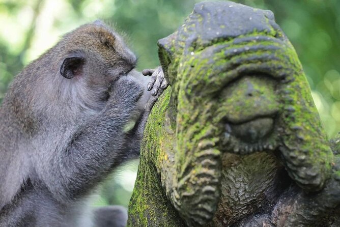 Ubud Private Tour Sightseeing and Waterfall - Good To Know
